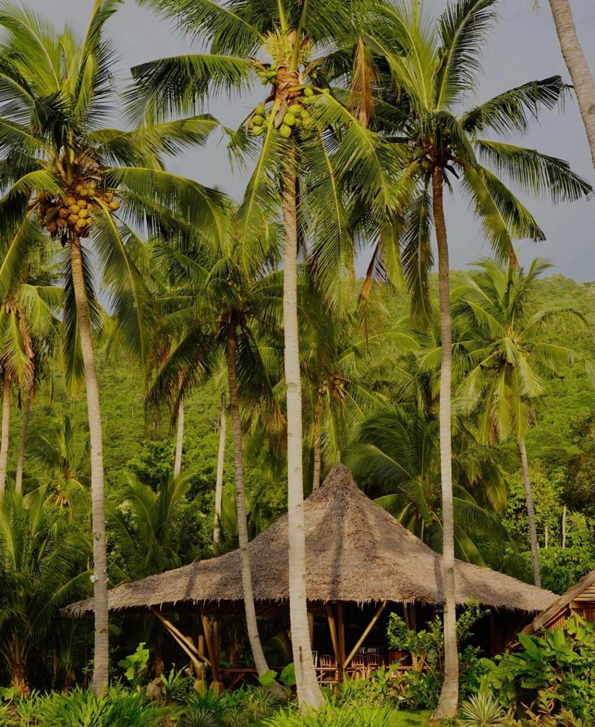 Eco Sanctuaries Nature Lodge Nacpan Beach, El Nido Buitenkant foto
