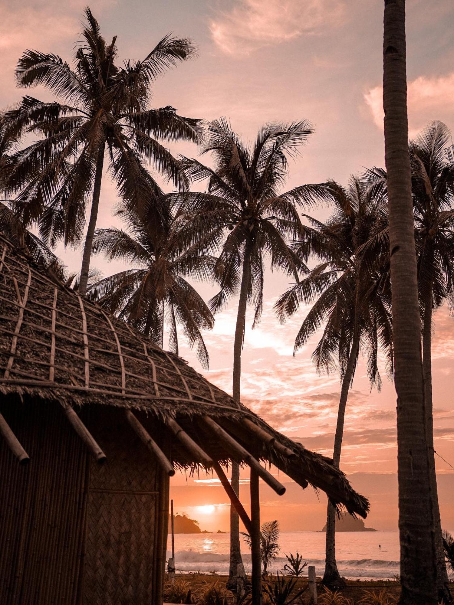 Eco Sanctuaries Nature Lodge Nacpan Beach, El Nido Buitenkant foto